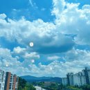 마음만 바쁜 매일, 불치병 수준의 열심강박증 아주미