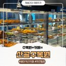 시흥 물왕저수지 대형 수목원 카페 '산골수목원'/솔직후기