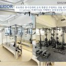 슈브핏 이미지