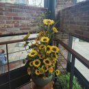 아차산역 이미지