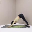 제이제이 이미지