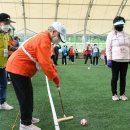 (사)대한노인회평창군지회 이미지