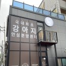 드림독강아지고양이안심분양센터 - 수원시 영통구 대학1로8번길 73 | 드림독강아지고양이안심분양센터