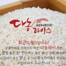 법인다농 이미지