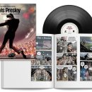 폴링 인 독(Falling in dog) 이미지