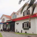 야자수 펜션 민박 이미지