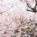 메가커피아산호서대점 | 아산 신정호 카페 중 가장 저렴한 메가커피 아산신정호점 내돈내산 후기