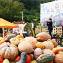 더맑은이현마을 이미지