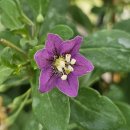 귀진농장 이미지