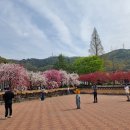 도진