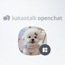 착한애견 이미지