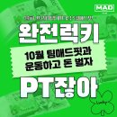 팀매드핏 네이버블로그