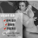 사랑인셀덤 네이버블로그