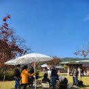 초전지고을 이미지