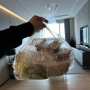 하이히얼 이미지