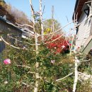 싸리재펜션 이미지