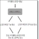 황금알 이미지