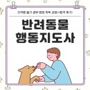 반려동물행동지도사 자격증 필기 공부 방법 취득 과정(+합격 후기)