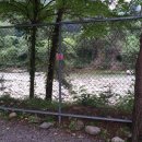 내리계곡 솔밭캠핑장 이미지