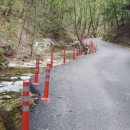 수암계곡샘 이미지