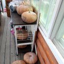 원농장1 이미지