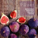 향기다이어트힐링센타 이미지