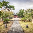 고요37호텔오산역점 | 제주도 제주 시내 호텔 추천 에메랄드호텔