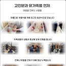 현대장례식장 이미지