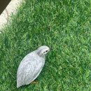 서종별곡 이미지