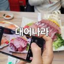대어나라 이미지