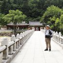 백담계곡 이미지