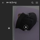 쉬다가개 애견호텔유치원 이미지