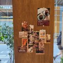 라이크세러데이