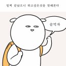 참나라 이미지
