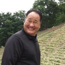 울릉도식품 이미지