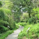 청백리길 이미지