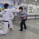 용인대 지노 태권 스쿨 이미지