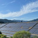 일본 EU 중국 수소 풍력 태양광 견제 조달규범 만든다 태양광기사 이미지