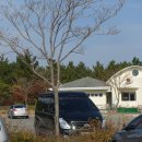 주문진해수욕장 주차장 화장실 이미지