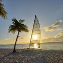 하베스트베이커리 이미지