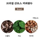 커피콩 이미지