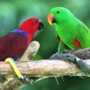 한솔체력단련장 이미지