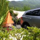 곰소그린 이미지