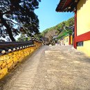 어린이대공원 제9호 이미지