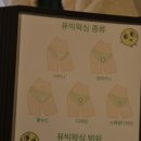 모브리띵(Mo:verything)