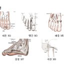 지압시명현반응에대해서... 이미지