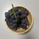 재우농장 이미지