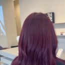 아뜰리에헤어 이미지