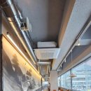 황금송아지 이미지