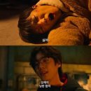 낭만고양이 - 화성시 동탄반송길 13 | 낭만고양이